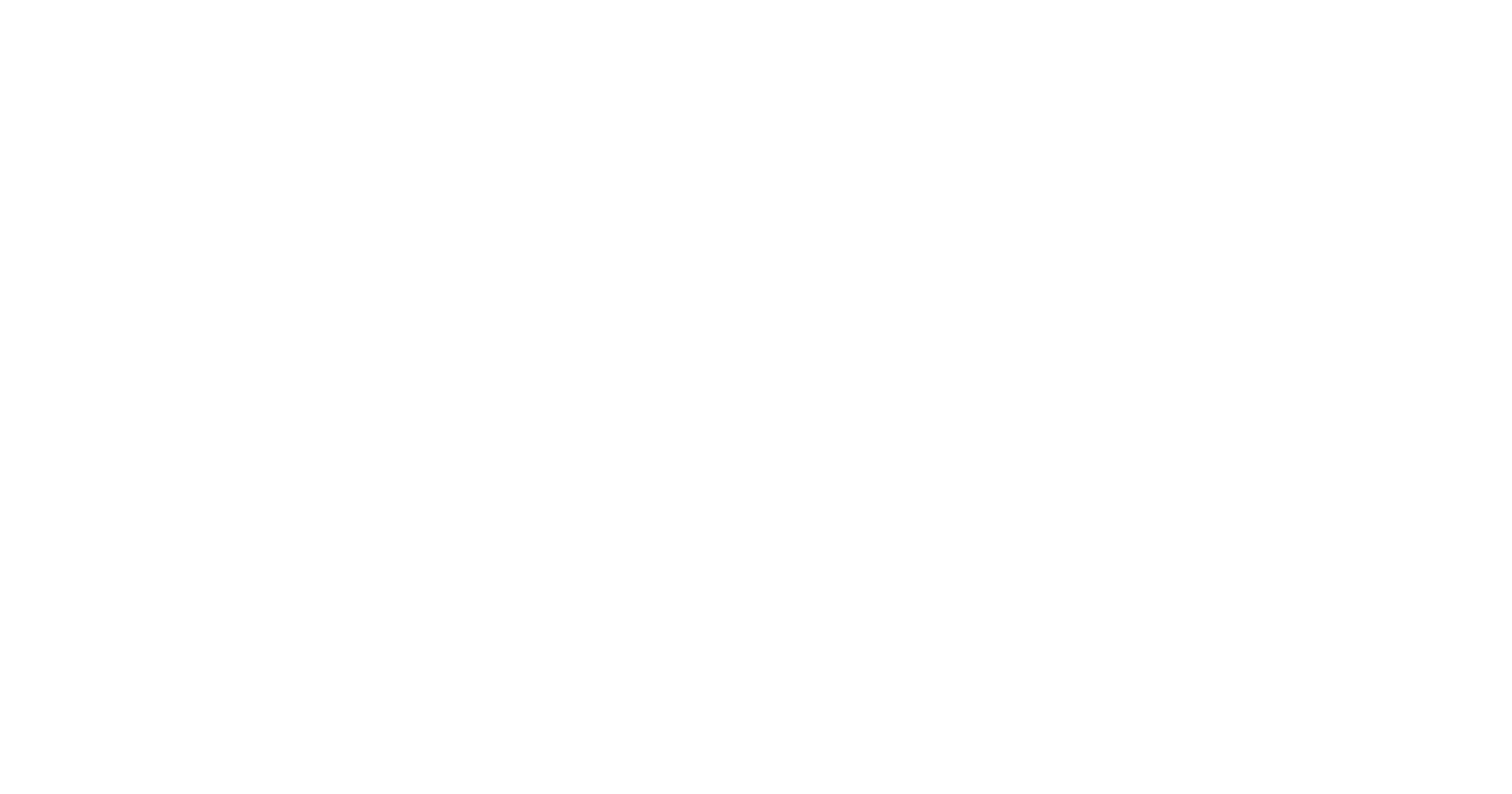 Orbis International